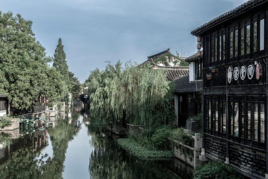 救援鹦鹉