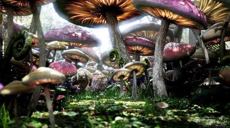 妙鸭相机app下载官网